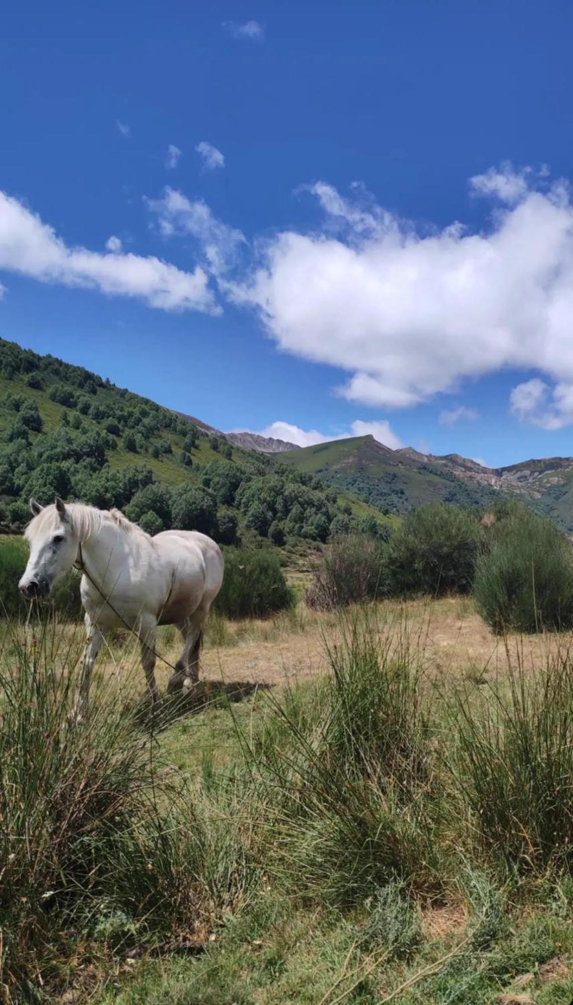 Casa Begona Βίλα Iguena Εξωτερικό φωτογραφία